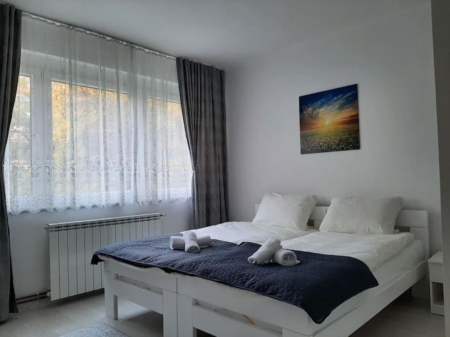 White & Tidy - Apartment